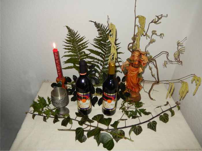 Blauer Bernburger Wein Jahrgang 2013